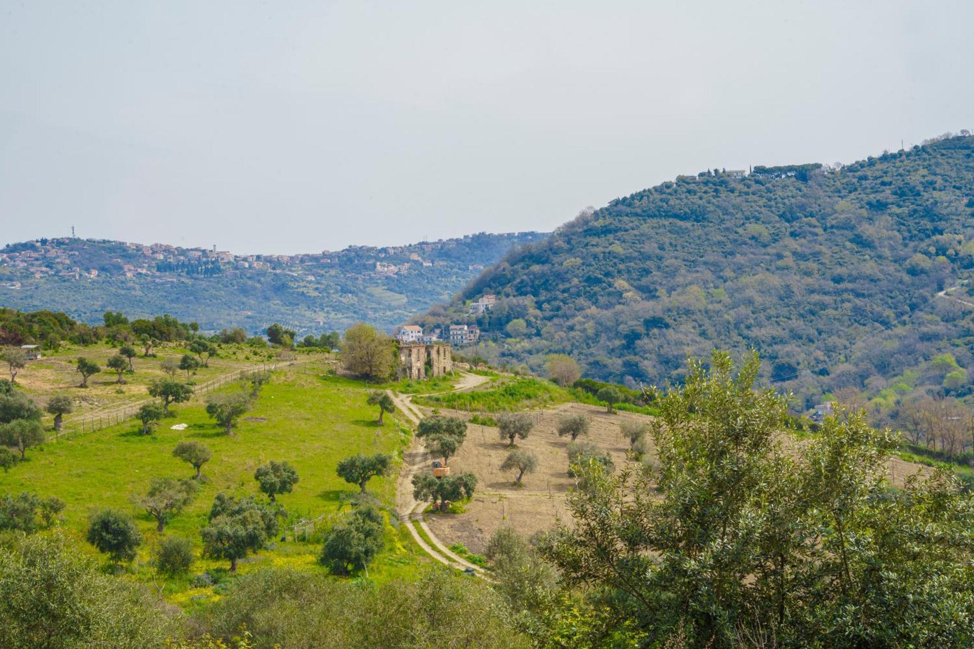 Aparthotel Il Panorama Housing Cilento Santa Maria di Castellabate Exterior foto